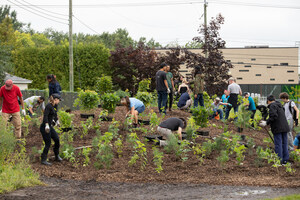 ECOLOGICAL TRANSITION: PIERREFONDS-ROXBORO STRENGTHENS ITS STRATEGY WITH A NEW VISUAL IDENTITY AND SUSTAINABLE INITIATIVES