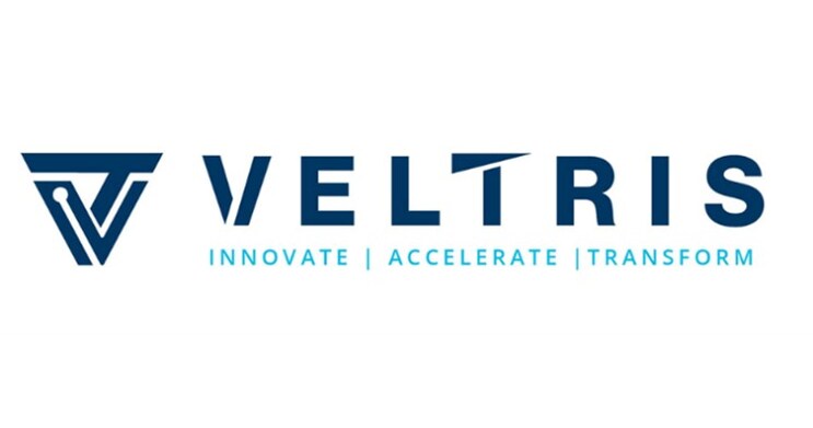 Trive Capital and BayLink Capital backed Veltris appoints Hiral ...