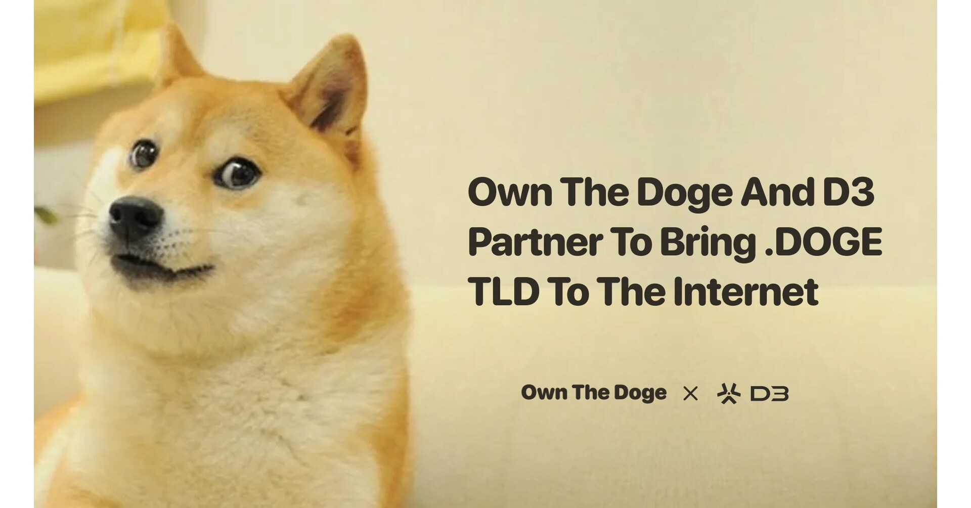 Own The Doge Partners With D3 To Apply For The .doge Top-Level Domain