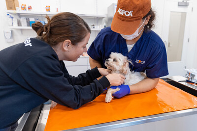 The ASPCA Community Veterinary Clinic by The Rachael Ray Foundation™ will offer partially and fully subsidized basic and preventive care to dogs and cats, including vaccinations, treatment for minor illnesses and injuries, and spay/neuter surgeries.