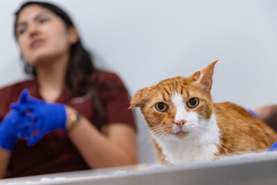 The ASPCA Community Veterinary Clinic by The Rachael Ray Foundation™ will provide much-needed care to thousands of Long Island City-area pets each year.