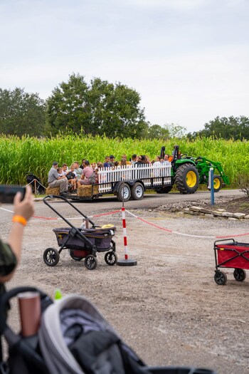 Keel Farms Harvest Days is Returning