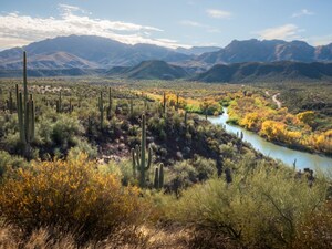 Arizona Voters Prioritize Groundwater Protection and Forest Management in New Arizona Voters' Agenda