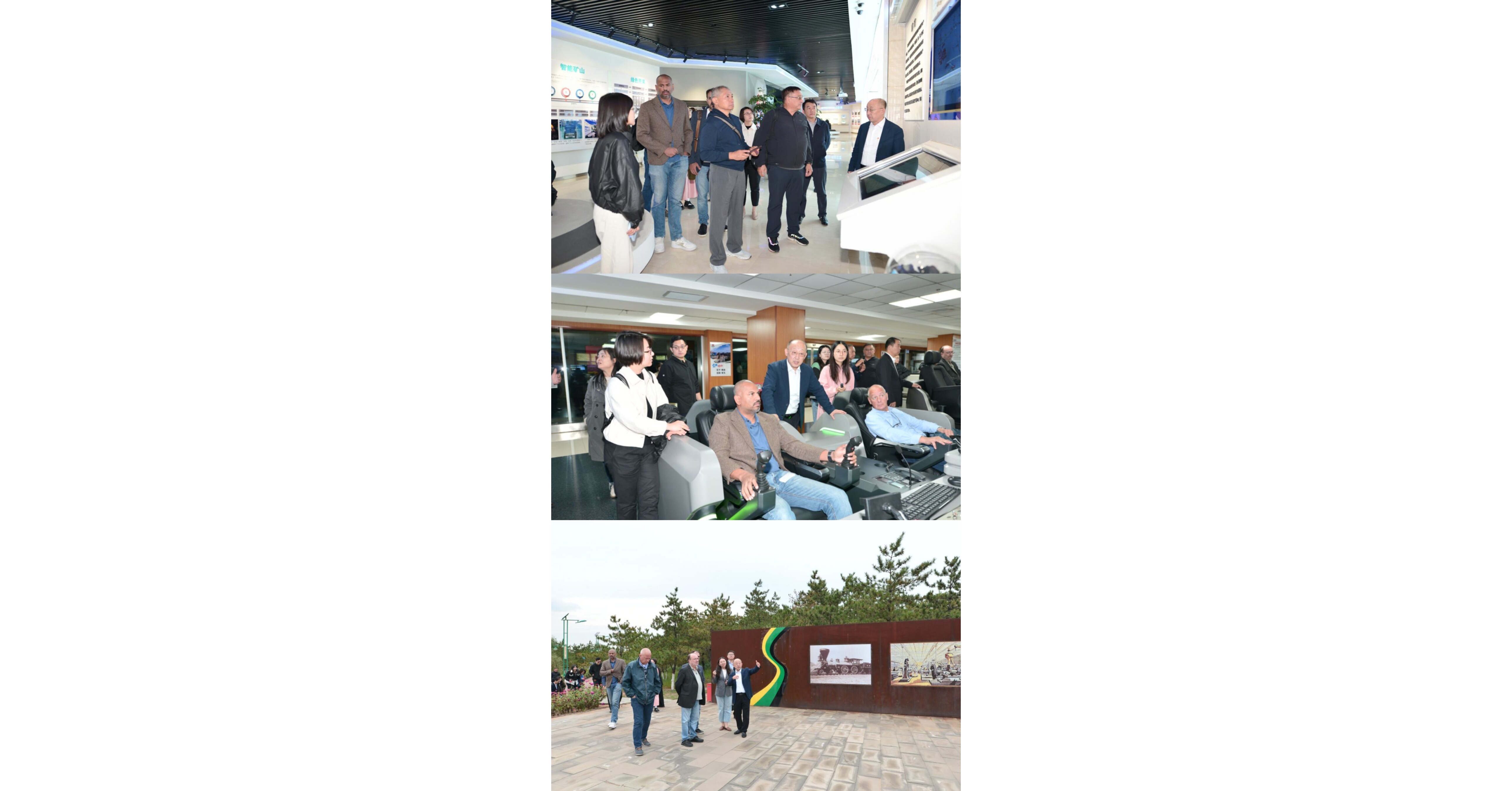 Xinhua Silk Road: Foreign media team lauds green miracle created by Shendong Coal in NW. China