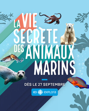 La vie secrète des animaux marins - Série documentaire entièrement tournée à l'Aquarium