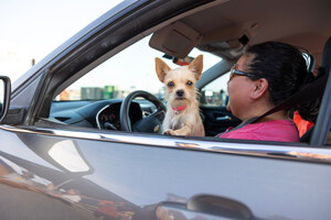 Canada's First Interactive Pet Food Bank Map Launches Ahead of Pet Hunger Awareness Day