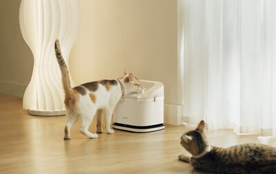 Petlibro Unveils Dockstream RFID Smart Fountain With Multi-Cat