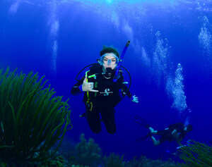 Dive into Adventure with New Dive Packages at Divi Little Bay Beach Resort on St. Maarten