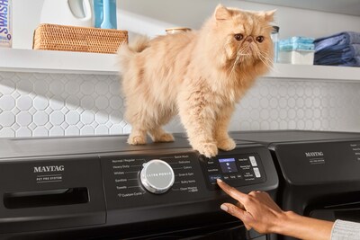 Get a clean you can see with the new Maytag® Pet Pro washer and dryer that's built to remove pet hair.