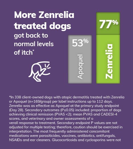 Elanco conducted a head-to-head noninferiority study comparing the efficacy and safety of Zenrelia and Apoquel for submission in the European Union.