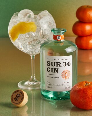 Best Gin and Tonic experience with Sur 34 Gin gold medal