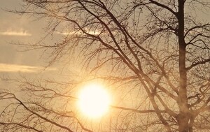 Understanding the impact of hot weather on vehicle windshields