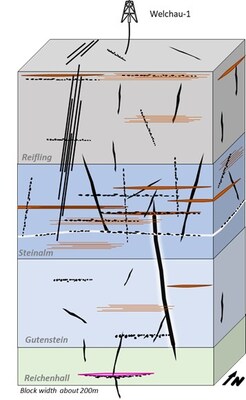 Figure 3 - Conceptual Model of an Open Permeable Fracture Network and other transmissibility events seen in the Welchau well such as reactivated beddings (CNW Group/MCF Energy Ltd.)