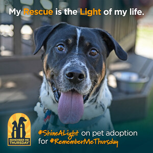 TODAY, GLOBAL PET ADOPTION AWARENESS CAMPAIGN - REMEMBER ME THURSDAY® - SET TO LIGHT UP THE WORLD!