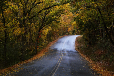 Enjoy Fall in Nashville's Big Back Yard. Photo courtesy of Nashville's Big Back Yard