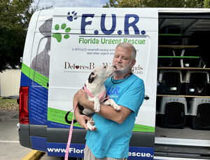 Rescuers Race Ahead of Hurricane Helene to Save Animals in Danger