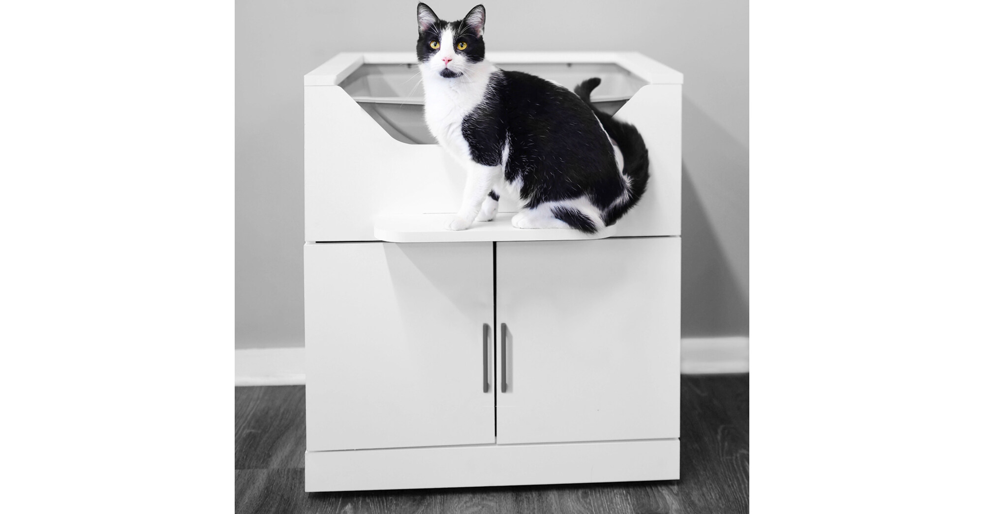Photo inspiration: Large Parrot Condos For Mobility Challenged Owners Reference: Revolutionizing Cat Care Loftyloo The First Ever Ada Accessible