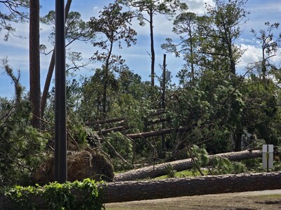 Georgia Power releases key estimated damage statistics from Hurricane ...