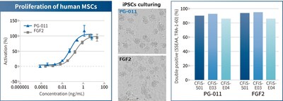 Proliferation of human MSCs by PG-011 and observations of cell morphology of iPSCs after 3 passages of culturing in the presence of PG-011 or FGFs, as well as the measurement of undifferentiated markers on Day 7 at P3.