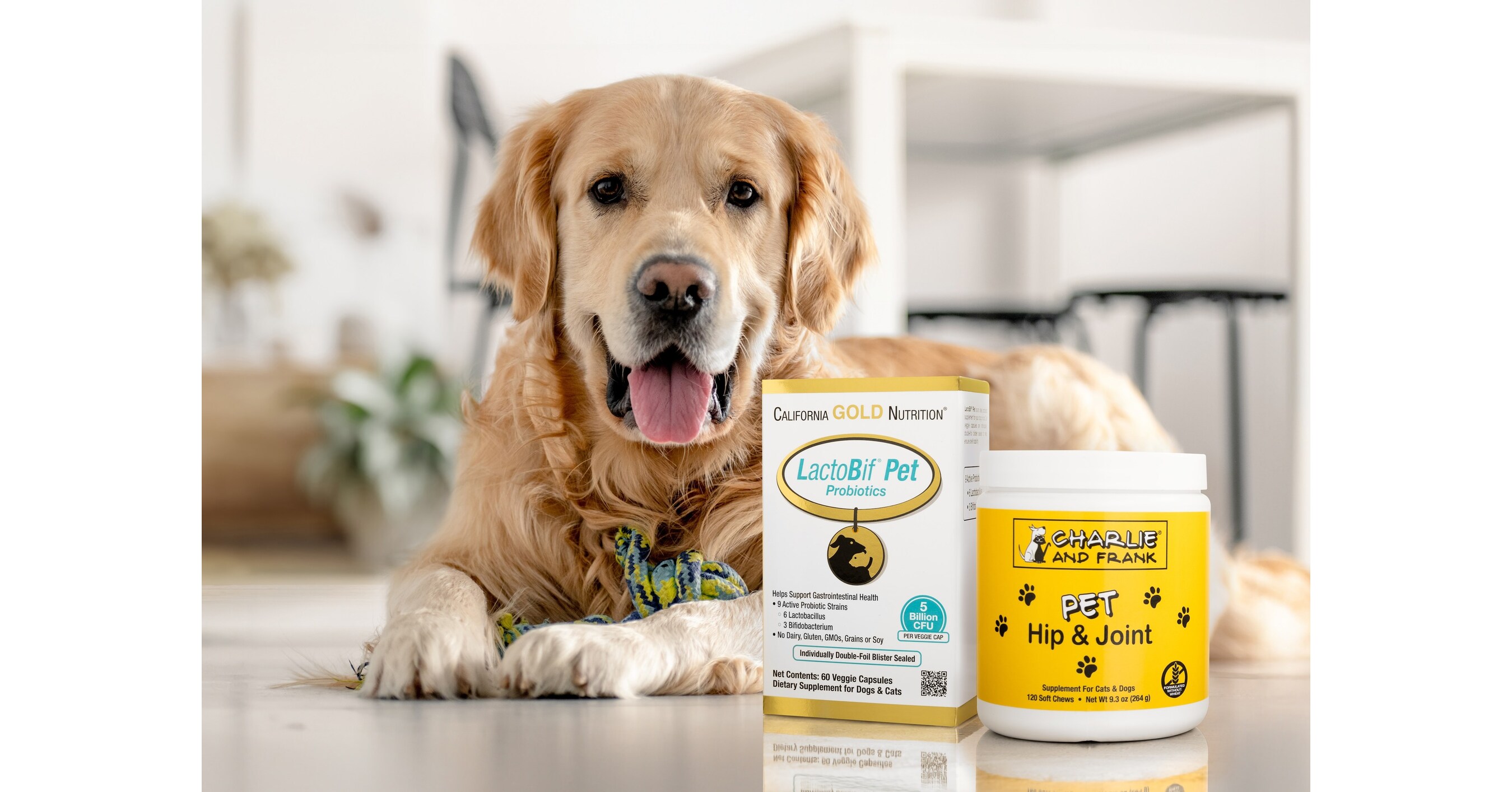 iHerb Unleashes Trends that Make Pet Health and Longevity a Daily Purr-suit