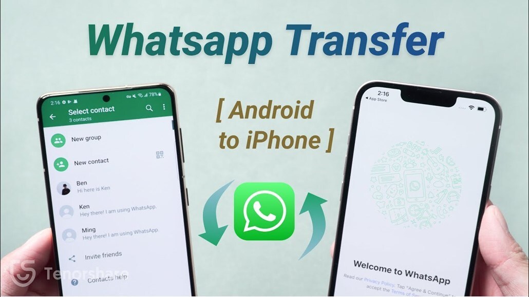 How to Transfer Whatsapp Messages From Android to iPhone Free & Easy