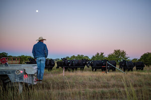 Noble Research Institute and Certified Angus Beef Launch Partnership Centered on Promoting Land Management for Livestock Producers