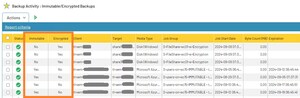 Bocada Announces Immutable Backup and Encrypted Data Reporting to Boost Cyber Resilience Against Ransomware