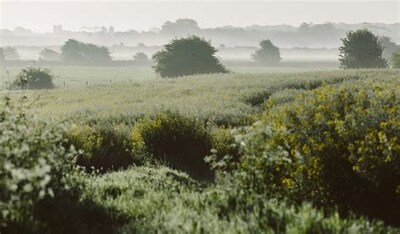 Iford Biodiversity Project in the South Downs National Park