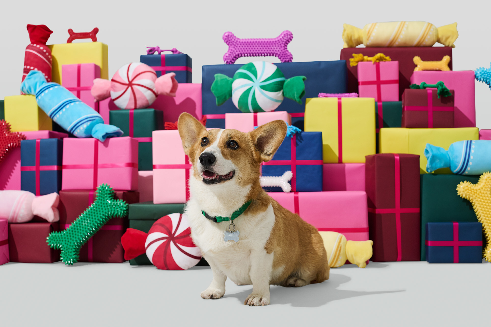 petco-puppies-nhl-creates-the-stanley-pup-a-canine-hockey-game-filled