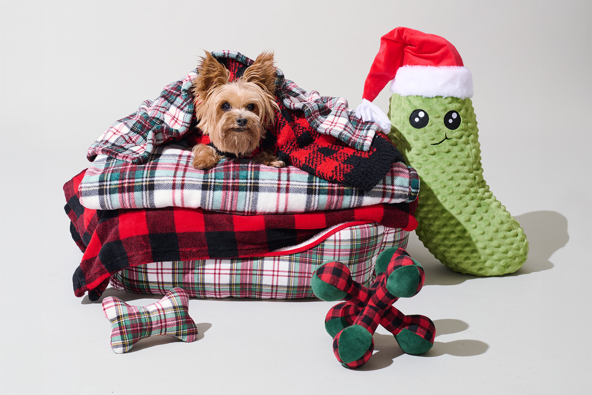 Petco Launches Holiday Collection Featuring New, Exclusive Statement Pieces  and Returning Bestsellers - Oct 4, 2024