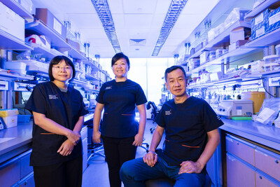 Caption: A team of NUS Medicine and NUHS researchers and clinicians have developed a new fratricide-resistant CD7 CAR T-cell therapy that proves effective in treating relapsed or refractory T-cell leukaemia. Photo be credited to the National University Health System (NUHS).