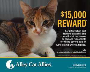 Alley Cat Allies Doubles Reward to $15,000 for Information on Cat Killer in Lake Clarke Shores, Florida