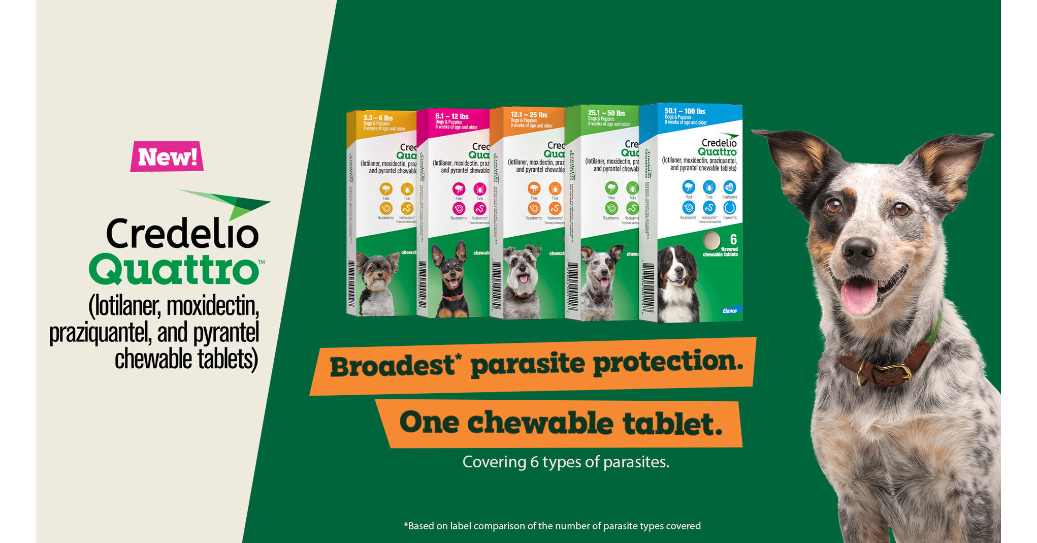 Elanco Receives FDA Approval for Credelio Quattro™ (lotilaner