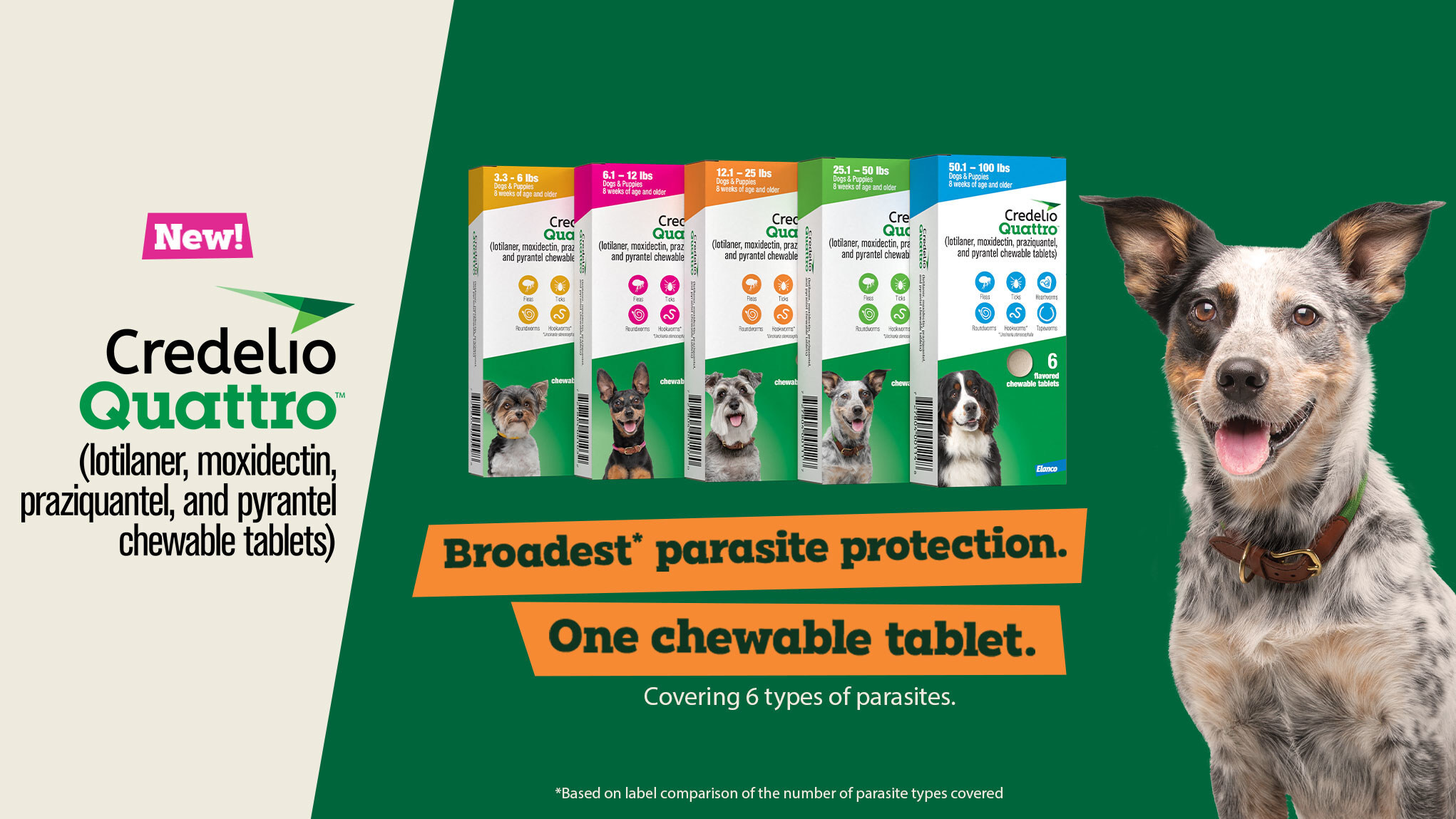 Elanco Receives FDA Approval for Credelio QuattroTM (lotilaner, moxidectin, praziquantel, and pyrantel chewable tablets), the Broadest(i) Canine Oral Parasiticide Protection in a Single Monthly Dose