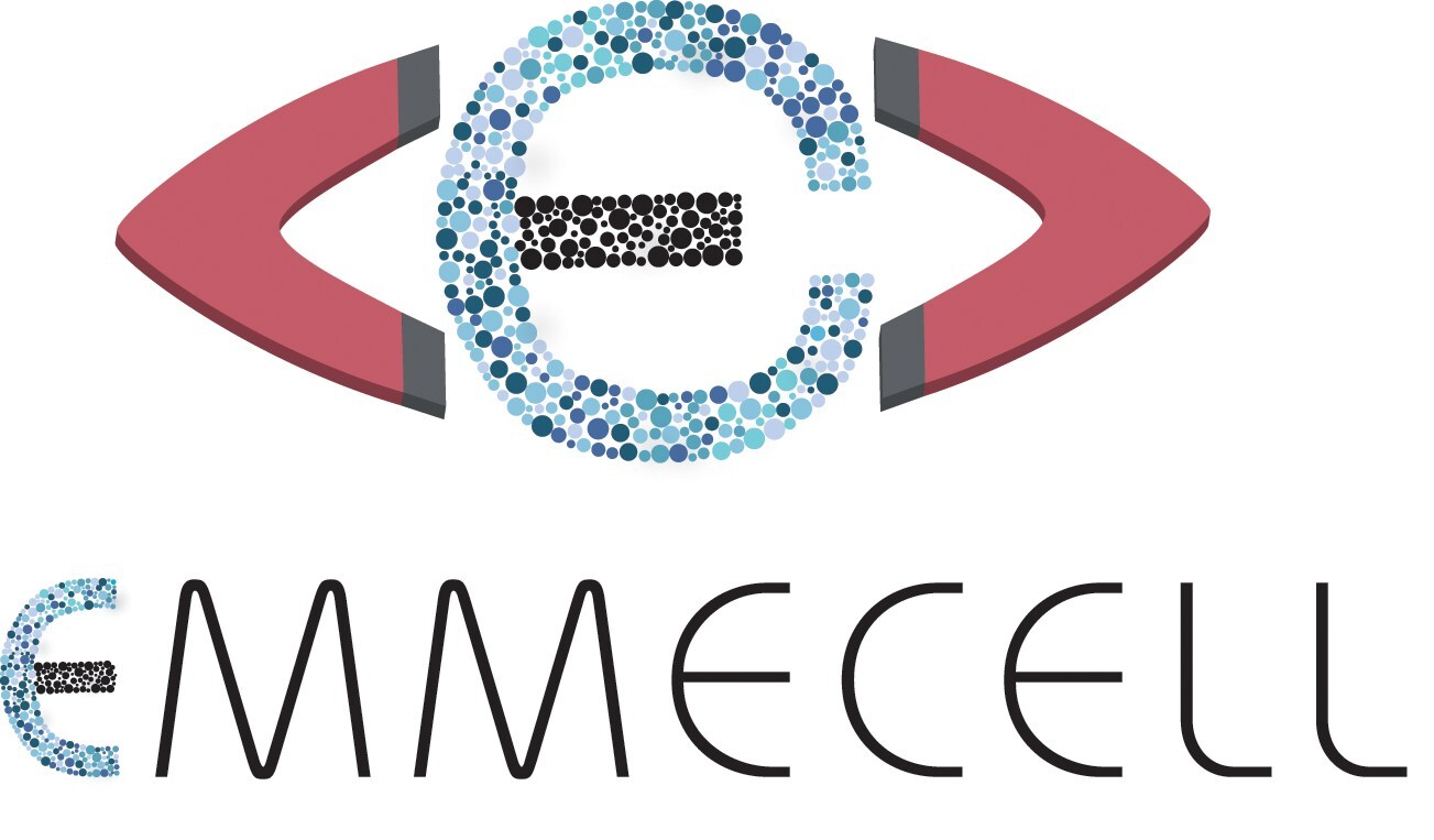 Emmecell Completes Last Patient Last Visit for Proof-of-Concept Trial of Groundbreaking Cell Therapy for Corneal Edema