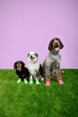 Unable to view the image, Please provide a valid URL.