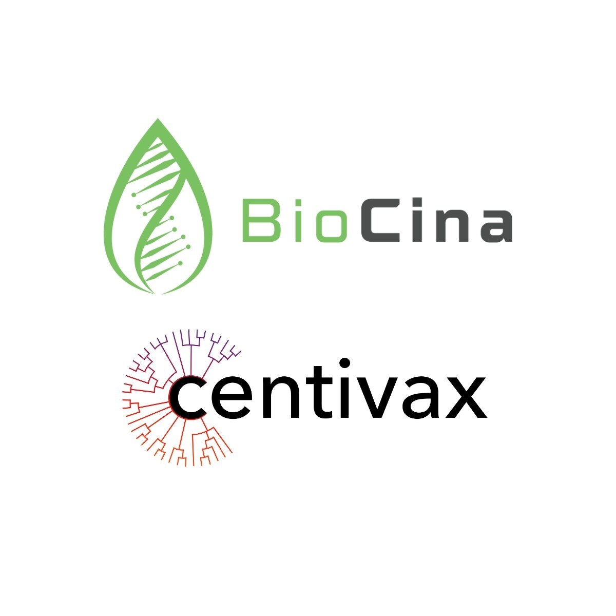 Centivax selecciona la CDMO global BioCina para iniciar la fabricación cGMP