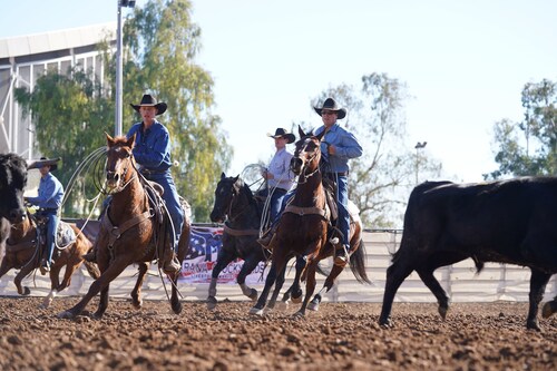 Ranching...the original form of teamwork!