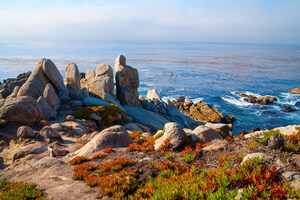 Inns of Monterey Announce Autumn Savings