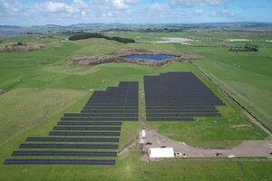 Trinasolar Partners with Kiwi Solar and Trilect to Launch Waikato, New Zealand's First Agrivoltaics Project