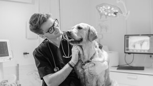 Beyond the Scrubs: Six Things to Know About Your Veterinary Technician