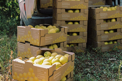 LIMONAR DE SANTOMERA is the leading cooperative in Spain in the production and marketing of lemons (PRNewsfoto/Limonar de Santomera)