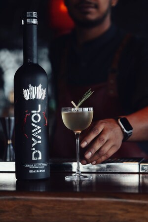 Aryan and Shah Rukh Khan's D'YAVOL Debuts at London Cocktail Week Ahead of UK Expansion