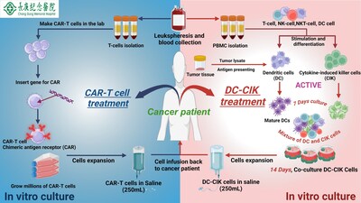 Chang Gung Memorial Hospital utilizes synthetic cancer cell antigens to train patients' immune cells to recognize and fight cancer cells. After multiplying, these immune cells are reintroduced into the body to eliminate cancer cells, all while using chemotherapy and radiotherapy to improve treatment outcomes. (Photo courtesy of Chang Gung Memorial Hospital)