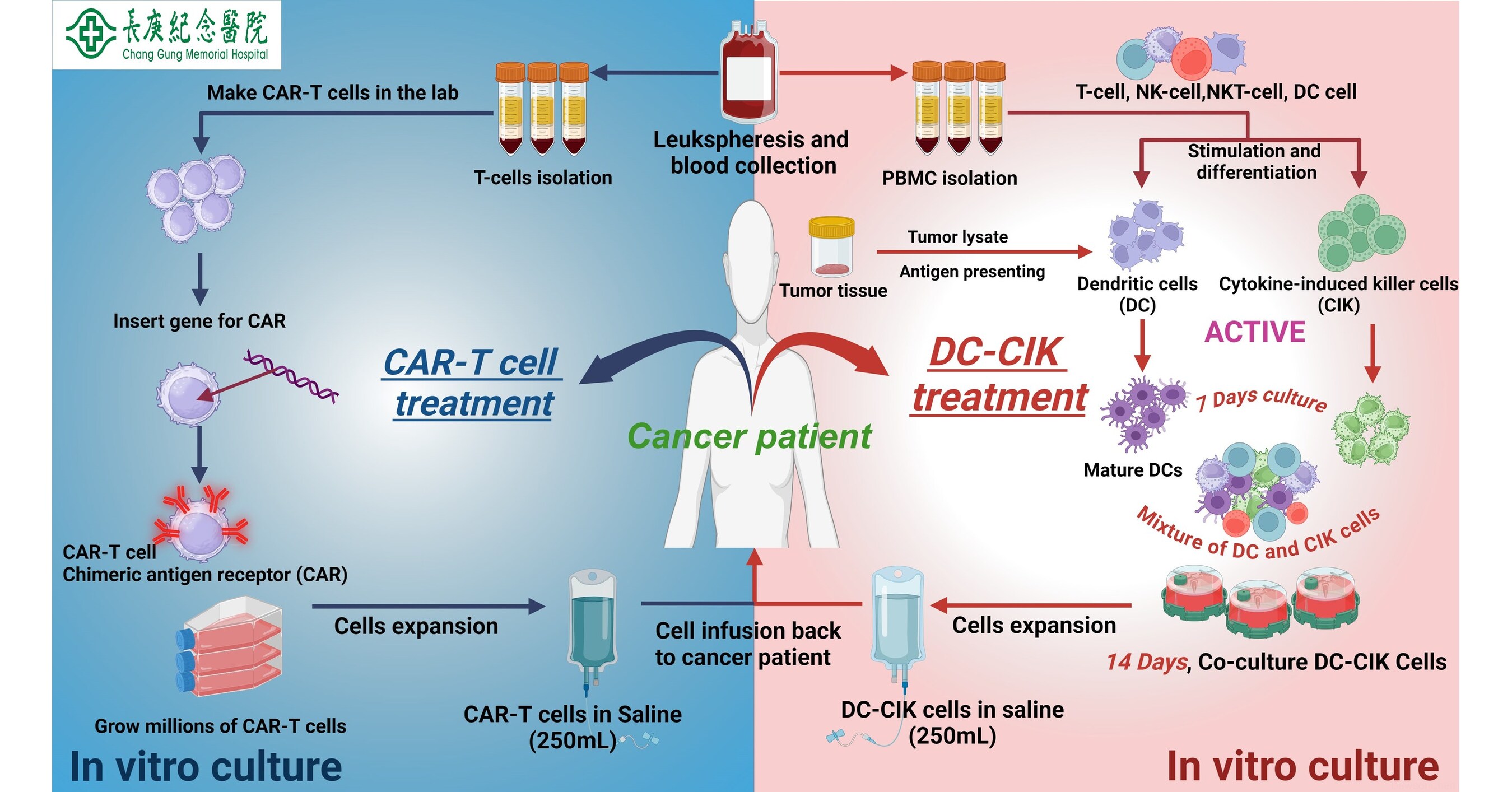 Chang Gung Memorial Hospital Unveils Cellular Therapy: A Beacon of Hope for Cancer Treatment