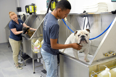 Scenthound is the nation’s first dog wellness franchise concept, offering monthly hygiene services for affordable and accessible routine dog care. (PRNewsfoto/Scenthound)