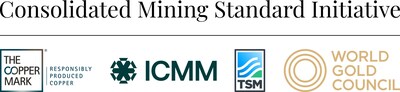 CMSI Logo (PRNewsfoto/CMSI)