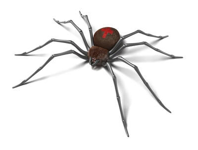 Spider : Black Widow