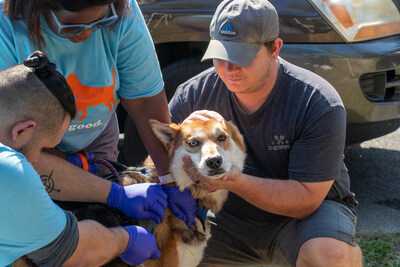 Georgia owner holds dog while Banfield Pet Hospital volunteers provide free preventive care at the largest Banfield Gives Back-funded clinic of 2024, helping more than 600 pets in one afternoon. Since launching paid volunteering in June, nearly 1,000 Banfield Associates have applied to volunteer, and the practice is on track to hold more than 150 Associate volunteer events in just six months. Sunday, Oct 13, 2024 in Dallas, Ga. (Jenni Girtman/AP Content Services for Banfield Pet Hospital)