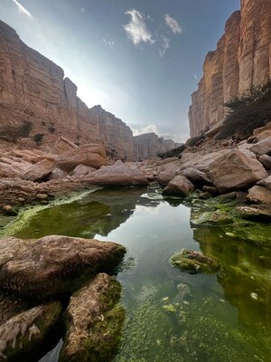 FIRST SAUDI PROTECTED AREA LISTSED ON IUCN GREEN LIST – IBEX PROTECTED AREA, JUST SOUTH OF RIYADH JOINS THE LIST WHICH SETS THE GLOBAL STANDARD FOR PROTECTED AND CONSERVED AREAS.